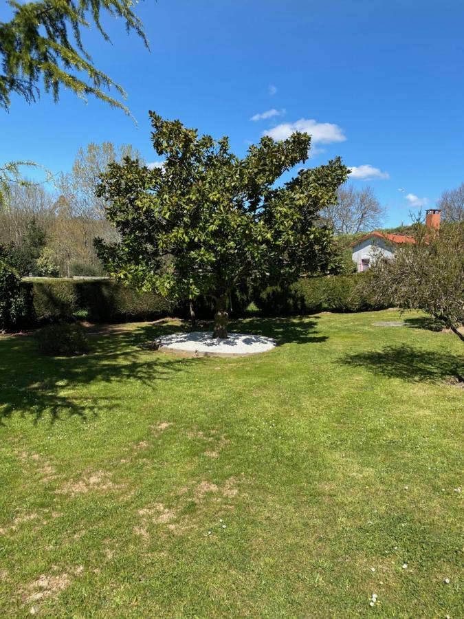 A Finca Do Rio Vello Apartman Arzúa Kültér fotó